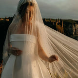YouLaPan V91 Sparking Wedding Veil 2 Tiers Pearl Bridal Veil Champagne Glitter Veil Golden Wedding Veil with Comb Delicate