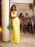 Spring And Summer New V-Neck Sling Vest Folding Hips Long Skirt Wool Set
