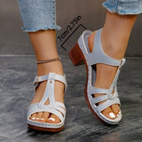 Sandals Women 2025 Summer New Solid Color Fish Mouth Thick Heel With High-Heeled