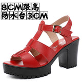 T-T-Slace Sandals Waterproof Table Thick Soles 41-43 Yards Cheongsam Runway Shoes Large-Size Coarse Heel Waterproof Table Women's