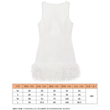 Women's Clothing Spring 2025 New Glit Decorative Feathers Spliced Long-Sleeved Mini