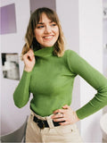 Color Half Collar Slim Knit Bottoming