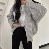 Streetwear Women Fashion Harajuku Zipper Cardigan Sweater Vintage Loose Solid Y2k Top Autumn Winter Casual Korean