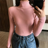 Autumn Winter Thick Sweater Women Knitted Ribbed Pullover Sweater Long Sleeve Turtleneck Slim Jumper Soft Warm Pull