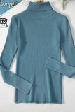 2023 Basic Turtleneck Women Sweaters Autumn Winter Warm Pullover Slim Tops Ribbed Knitted Sweater Jumper Soft Pull