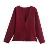 Women's INS Explosion V-Neck Long Sleeves Simple Knitted