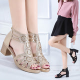 Surface Hollow High Heel Sandals Women 2022 Summer Shoes Women Fashion Zipper Roman Open-toed Dress