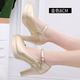 Leather Tip Tip 15CM Catwalk Ultra-High Heel Women's Thick-Sed Waterproof Table Single Shoe With Shallow Model Performance
