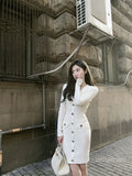 Chic Mini Knitted Dress Spring Autumn Women Casual Ladies Womens Office Elegant Knit Dresses 2023 New Modis Woman