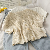 summer new lace shirt women's hollow thin style temperament versatile fashion short-sleeved