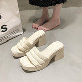 / Summer 2025 New Platform Sandals Thick Heel Square Head Female Summer Wear High Heel Broadband