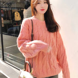 Women Popular Thick Solid 2020 New Fashion Fall Warm Loose Lady Clothes Kawaii Female Aesthetic Blue Casual
