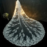 Luxury Long Bridal Veil White Ivory Wedding Veils With Comb Lace Edge Applique Elegant Cathedral Length Wedding