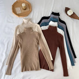2023 Basic Turtleneck Women Sweaters Autumn Winter Warm Pullover Slim Tops Ribbed Knitted Sweater Jumper Soft Pull