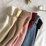 Autumn Winter Thick Sweater Women Knitted Ribbed Pullover Sweater Long Sleeve Turtleneck Slim Jumper Soft Warm Pull