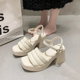 / Summer 2025 New Platform Sandals Thick Heel Square Head Female Summer Wear High Heel Broadband