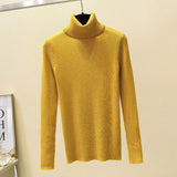 Turtleneck sweater-Outfit