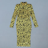 Women Dress Leopard Print Long Sleeve High Neck 2021 Autumn Winter Women Party Clothes Bodycon Maxi