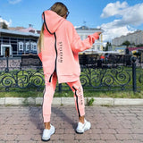 Women Elegant Zipper Sweatshirt Pullover & Elastic Waist Pants Tracksuit Casual Solid Sports Suit Autumn Winter Fleece 2pcs