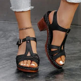 Sandals Women 2025 Summer New Solid Color Fish Mouth Thick Heel With High-Heeled