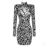 Women Dress Bodycon Elegant Party Evening Leopard 2021 New Arrival Summer Autumn