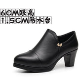 Coarse Waterproof Table Deep Mouth Single Shoes Women's Spring And Autumn Dress Work Shoes Side Zipper Fashion Singles High