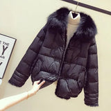 Women Coat 90% Duck Down Jacket Real Fox Fur Collar Hooded Jacket Elegant Female Thick Warm Button Duck Down