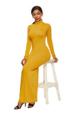 Polyester Spandex Fashion Solid Color Long Sleeve Stretch Slim Turtleneck