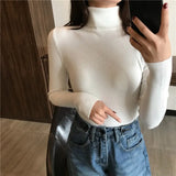 Autumn Winter Thick Sweater Women Knitted Ribbed Pullover Sweater Long Sleeve Turtleneck Slim Jumper Soft Warm Pull