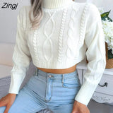 Twist Short Knitted Sweater Pullover for Women Fall Sweater 2022 New Solid Long Sleeve Turtleneck Cropped Crop