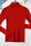 2023 Basic Turtleneck Women Sweaters Autumn Winter Warm Pullover Slim Tops Ribbed Knitted Sweater Jumper Soft Pull