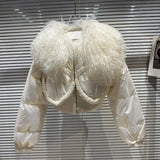 2022 Winter New Arrival Lambswool Fur Collar Bright Cotton Liner Short Jacket Women Warm Coat
