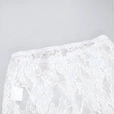 Transparent Lace Flare