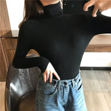 Autumn Winter Thick Sweater Women Knitted Ribbed Pullover Sweater Long Sleeve Turtleneck Slim Jumper Soft Warm Pull