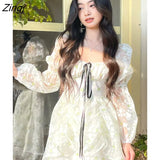 Spring Vintage Floral Dress Women Casual Korean Party Long Sleeve Fairy Dresses Female Evening High Street Sexy Mini