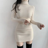 High Neck Long Sleeve Hip DressOutfit